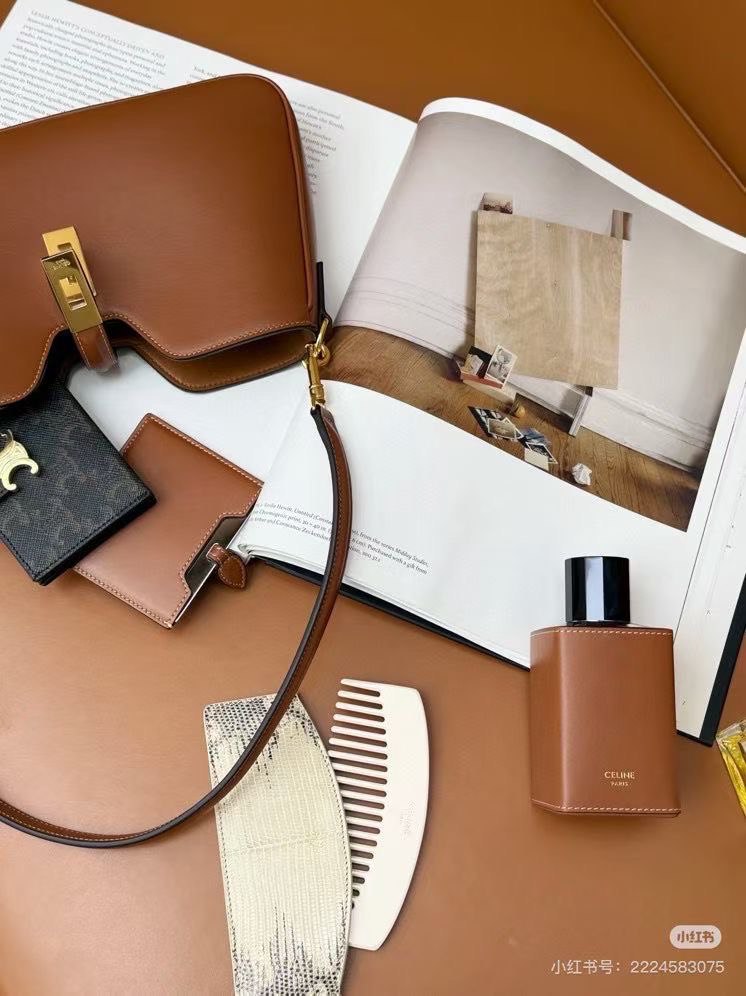 Celine Medium Triomphe Canvas Bag in Tan